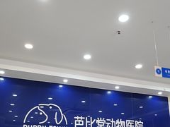 -芭比堂动物医院·24小时·眼科中心(深圳中心)