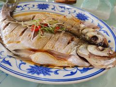 清蒸白水鱼-状元楼(金溪路店)