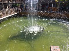 -呀路古热带植物园