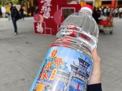 -悦城龙母祖庙