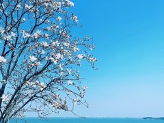 -阳澄湖半岛旅游度假区