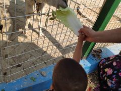 -武汉紫薇都市田园