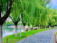 -天鹅湖体育公园