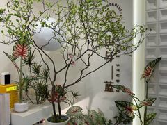 -山与蓝·轻糖鲜果蛋糕(勒泰店)