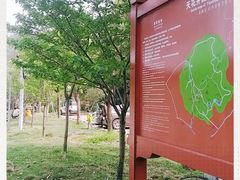 -天花井景区