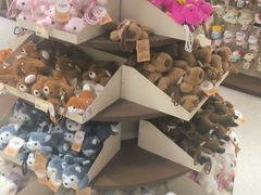 -鹏佳腾学生文创