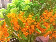 -豆豆花艺(新光天地店)