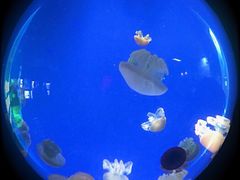 -厦门海底世界