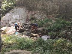 -素山寺森林公园