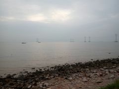 -宝安西湾红树林湿地公园