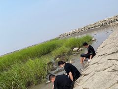 -南汇嘴观海公园