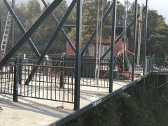 -梦幻奥陶纪景区