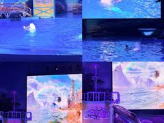 -海合安武汉极地海洋公园