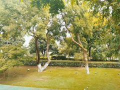 -橘洲1910花园江景西餐厅