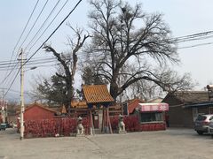 -十三陵定陵-裕陵路停车场