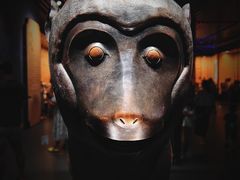 -广西壮族自治区博物馆