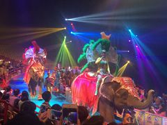 -广州长隆国际大马戏