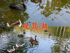 -广州动物园