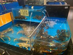 水产区-金稼园·金平湖农家菜