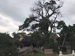 -司徒庙