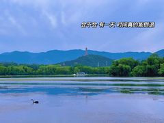 -颐和园