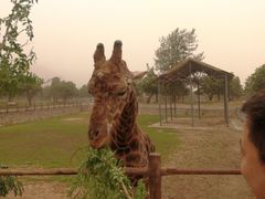 -西安秦岭野生动物园