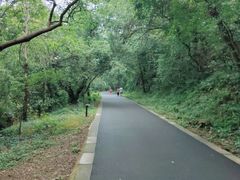 -大蜀山国家森林公园