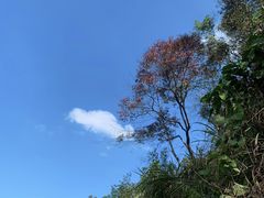 -广州市石门国家森林公园