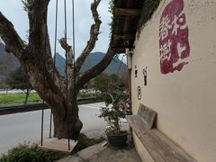 -村上春树