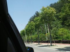 -青龙山国家森林公园