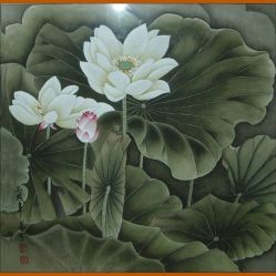 -柯琳造型