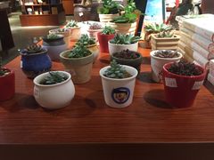 -新华书店(印象城店)