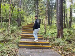 -五营红松林海景区