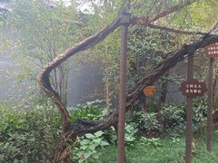 -湖南省立第一师范学校旧址