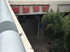 -南京奥林匹克体育中心-体育馆