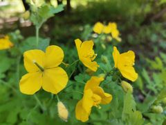 -长春公园(普阳街道)