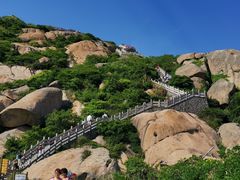 -洋山深水港