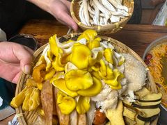 -菌极鲜野生菌火锅店(阳明祠店)