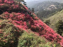 -木兰云雾山