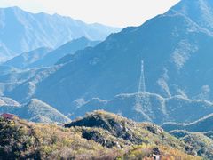 -大岭沟猕猴桃谷风景区