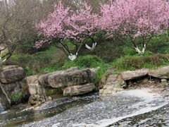 -秀丽东方