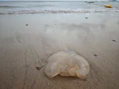 -那香海钻石沙滩浴场