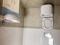 -金山农民画村-枫泾波兰倒置屋