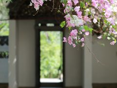 -深圳国际园林花卉博览园