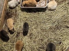 -上海苏航生活广场