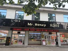 -宏发园动物奶油生日蛋糕(先锋路店)