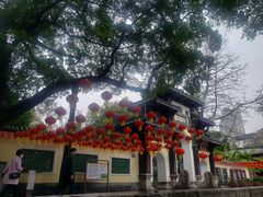 -柳侯公园