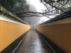 -普陀山慧济禅寺