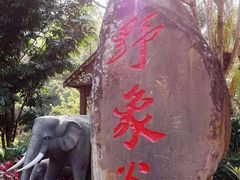 -西双版纳勐泐文化旅游区