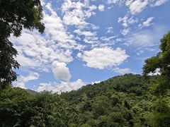 -野象谷景区